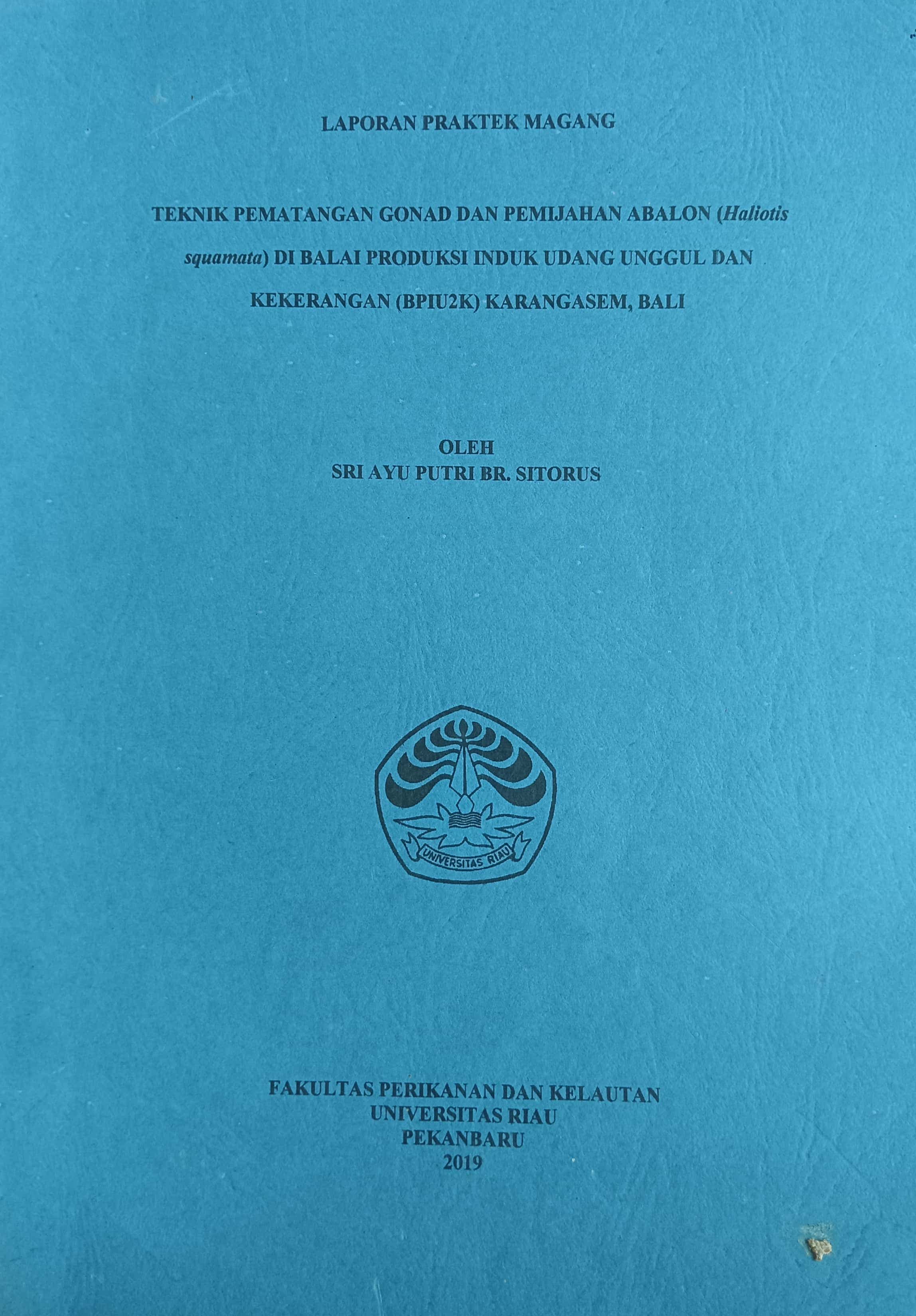 20240723001640_Sri ayu.jpg